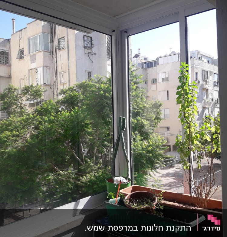 חלון אלומיניום עם עציצים על אדן החלון